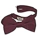 Burgundy Satin Mens 2 1/2