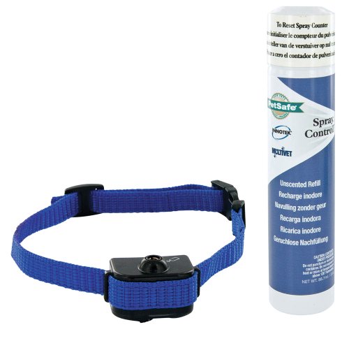 PetSafe - PBC19-11796 - Collier antiaboiement - Avec spray - Petit chien