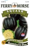 Ferry-Morse Seeds 1382 Squash - Acorn Danish 3.5 Gram Packet