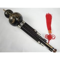 Pr�mie Ebenholz 3 Octave Handgeschnitzte Gourd Flute Hulusi Woodwind + Fall #112 - Ksotenloser Versand, Weltweit