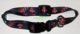 Boston Red Sox Adjustable Pet Dog Collar (Medium)