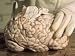 Hospital Morgue Preparing Brain for Autopsy Photographic Poster Print, 16x12