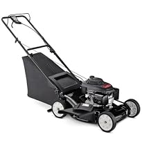 MTD Pro 21-Inch 160cc Honda Gas Powered Side Discharge/Mulch/Bag Rear Wheel Drive Self Propelled Lawn Mower #12AV839Q795