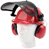 Draper Expert Forestry Helmet