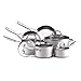 Anolon Chef Clad Stainless Steel 10-Piece Cookware Set  : image