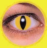 Yello Cat Contact Lenses Non Prescription Halloween Horror Gothic Krazy Theatrical Lenses