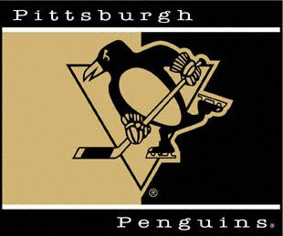 Buy Pittsburgh Penguins 60x50 Team Throw by Biederlack