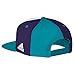 NBA Charlotte Hornets Men's Team Nation Snapback Cap, White, One Size