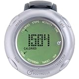 GoWear fit Display Device