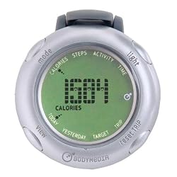 GoWear fit Display Device
