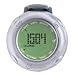 GoWear fit Display Device