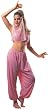 Adult Arabian Princess Costume - Adult Std.