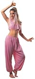 Adult Arabian Princess Costume