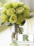 Rainforest Foundation Charity Bouquet