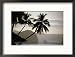 El Nido Pangulasian Island at Dusk El Nido, Palawan, Philippines Framed Photographic Poster Print by John Borthwick, 22x17