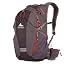 Gregory Miwok 18 Daypack, Iron Gray, One Size