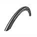 Schwalbe 11600810 Pro One Tire - Tubeless 700 x 28C