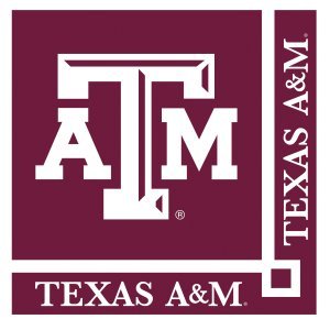 Creative Converting Texas A & M Aggies Beverage Napkins (20 Count)