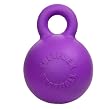 SMALL - PURPLE - Doggie Dooley Gripper Ball Dog Toy - ONE TOUGH DOG TOY!