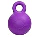 Kitchen & Housewares : SMALL - PURPLE - Doggie Dooley Gripper Ball Dog Toy - ONE TOUGH DOG TOY!