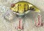 JLVLures Shallow Crankbait Olive Crawfish Glow : Diver Lures JLV Freshwater Smallmouth Steelhead Pike Salmon Trout Perch Whiper Mid Depth Walleye Casting Bass Hook Treble Red Boat Dock Brook Bay Little Stump River Trolling Weed Surface Topwater Shad