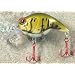 JLVLures Shallow Crankbait Olive Crawfish Glow : Diver Lures JLV Freshwater Smallmouth Steelhead Pike Salmon Trout Perch Whiper Mid Depth Walleye Casting Bass Hook Treble Red Boat Dock Brook Bay Little Stump River Trolling Weed Surface Topwater Shad