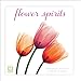 Flower Spirits; Radiographs of Nature 2015 Wall Calendar