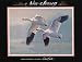 Daniel Smith (Duck Stamp, New Jersey) Art Poster Print - 18x24