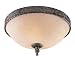 6-2156-15-56 Savoy House Lighting El Paso Hallway Flush Mount Light