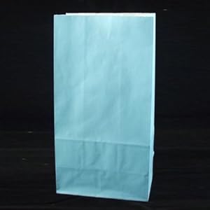 Solid Color Paper Sack Lunch Bags Light Blue 5.3125" Wide x 10" High x 3.25" Deep 100 Pack of Bags