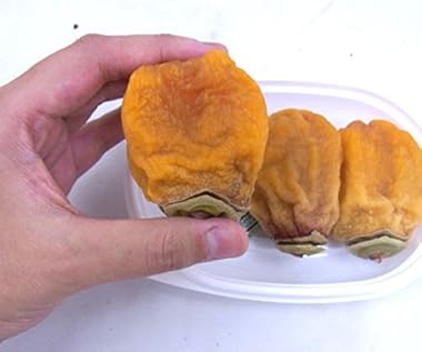 鳥取産 ”西条あんぽ柿” 約180g×6pc（1pcあたり2～4玉）【予約 10月下旬以降】