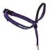 PetSafe Gentle Leader Head Collar with Training DVD, SMALL UP TO 25 LBS., DEEP PURPLE