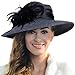 FORBUSITE Women Wool Felt Plume Church Dress Winter Hat (Mix Grey)