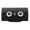 Flat Panel Speaker