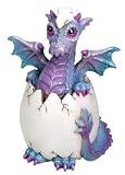 Bindy Dragon Hatchling - Collectible Figurine Statue Sculpture Figure