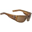 Spy Hailwood Sunglasses - Spy Optic Addict Series Polarized Racewear Eyewear w/ Free B&F Heart Sticker Bundle - Brown Stripe Tortoise/Bronze