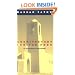 Architecture for the Poor: An Experiment in Rural Egypt (Phoenix Books)