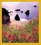 OREGON COAST Bookmark