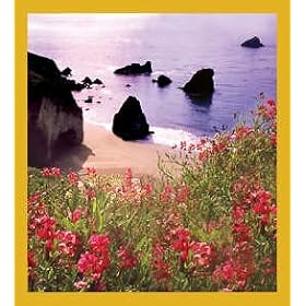OREGON COAST Bookmark