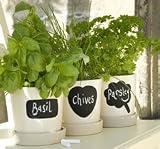 Set of Three Herb Pots