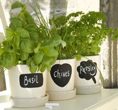 Childrens Toyshop  Outdoor Living : Set of Three Herb Pots