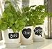 Set of Three Herb Pots