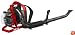 Factory Reconditioned Homelite 26cc Gas Powered MightyLite Backpack Blower (Non-CARB Compliant) #ZR08580