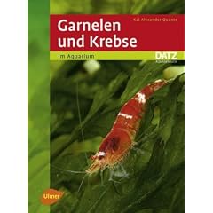 Garnelen und Krebse im Aquarium -