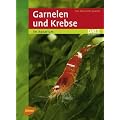 Garnelen und Krebse im Aquarium -
