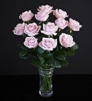 Autograph Sweet Avalanche Roses Dozen