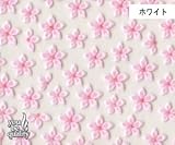 ネイルシール デコネイル N-70 サルサ(W)