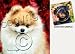 NEW! Neoprene Pomeranian Coasters Set of 4 by Barbara Augello