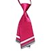 HANERDUN Womens Tie Bowtie Ladies Pre Tied Silk Necktie Costume Accessory Gift Idea Rose