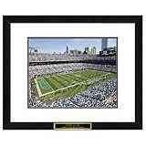Carolina Panthers NFL Framed Double Matted Stadium Print